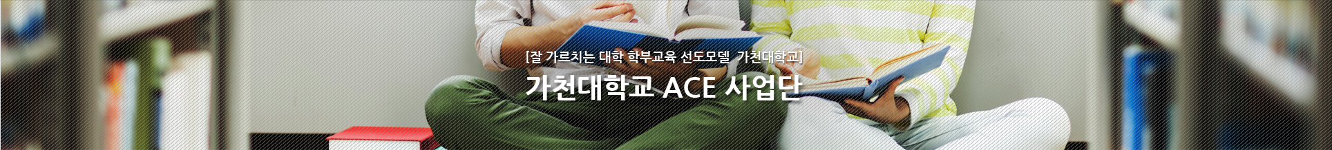 잘가르치는 대학 학부교육 선도모델 가천대학교 가천대학교 ACE 사업단